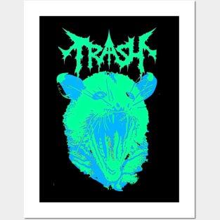 Trash possum Posters and Art